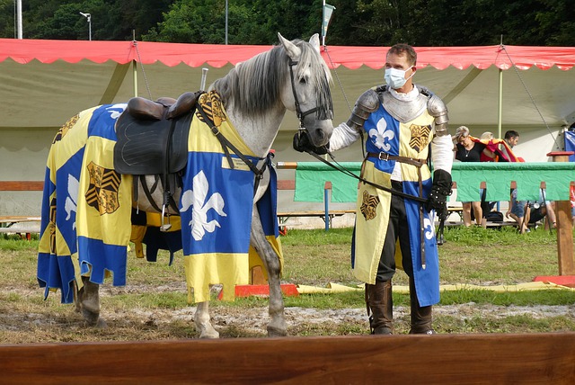 短缺限制 短缺限制