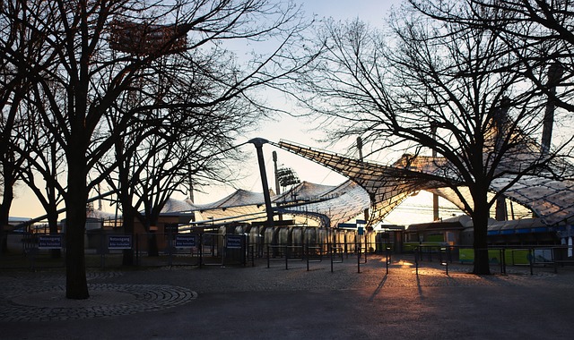 替补上场 替补上场